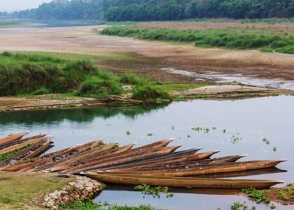 Canoe Ride & Jungle Walk
