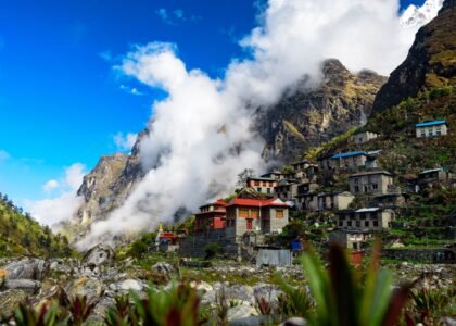 Village Stay & Organic Farm Experience