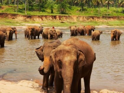 Sri Lanka