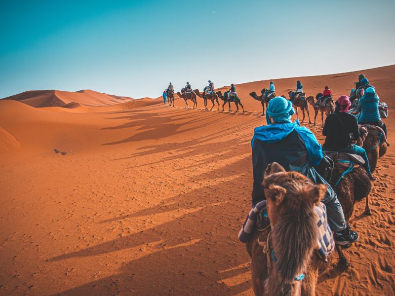 Imperial Cities & Desert Whispers: Morocco’s Quintessential Route 11D/10N