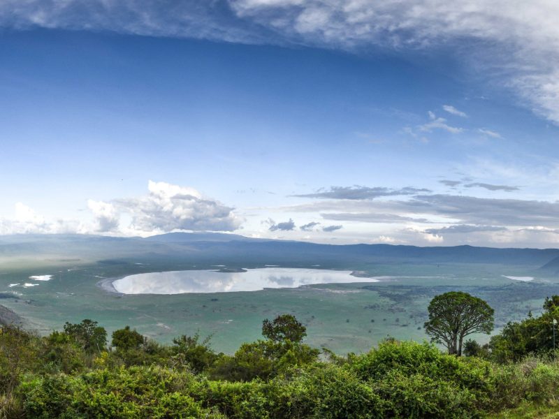 Tanzania Wildlife Circuit: Safari Through the Great Parks 8D/7N