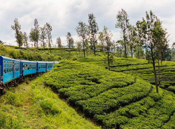 Sri Lanka Hill Country & Colonial Charm 8D/7N