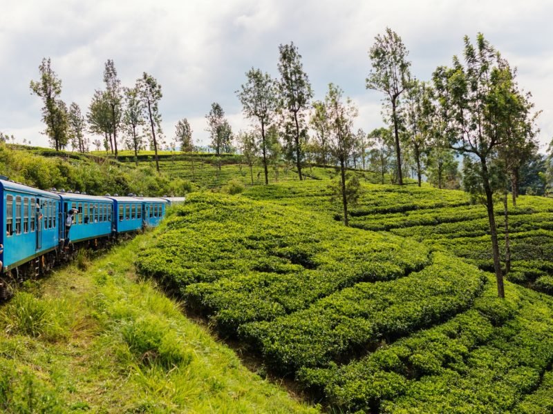 Sri Lanka Hill Country & Colonial Charm 8D/7N