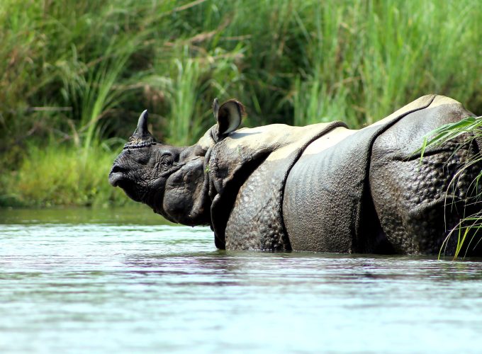 Nepal: Peaks, Jungles & Culture 9D/8N