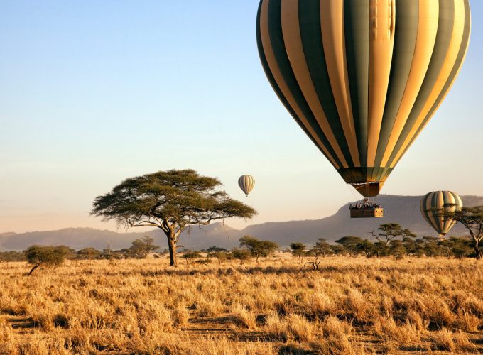 Fly-in Serengeti Safari  5D/4N