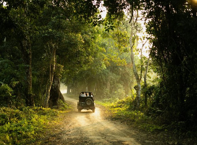 Kanha & Pench Wildlife Safari 7D/6N