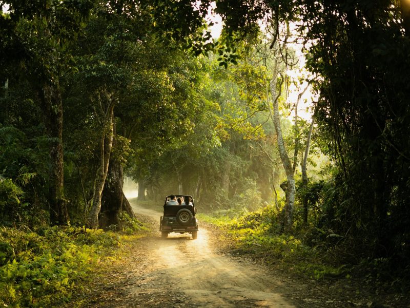 Kanha & Pench Wildlife Safari 7D/6N