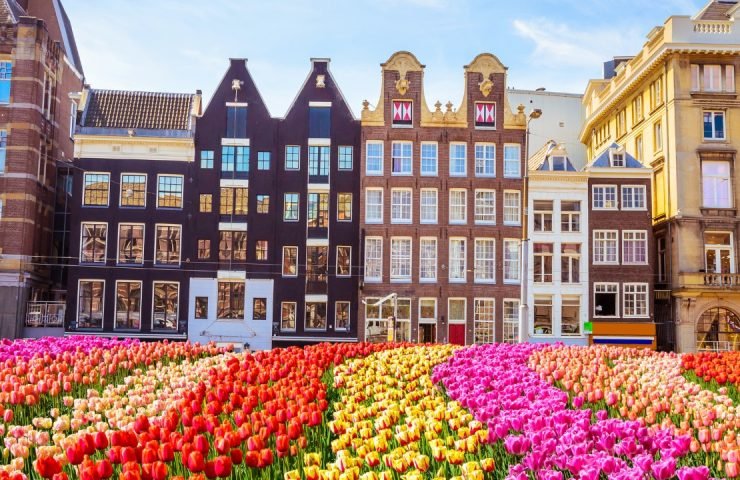 Spring in Bloom: How to Plan the Perfect Tulip Season Escape
