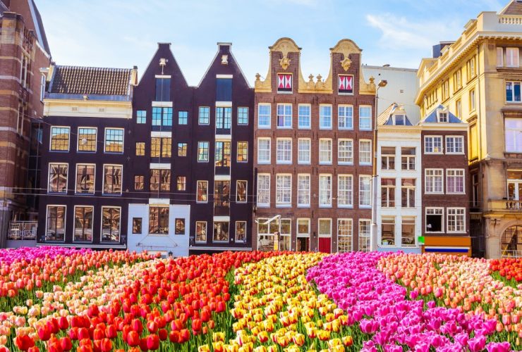 Spring in Bloom: How to Plan the Perfect Tulip Season Escape