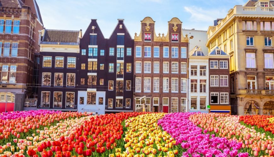 Spring in Bloom: How to Plan the Perfect Tulip Season Escape