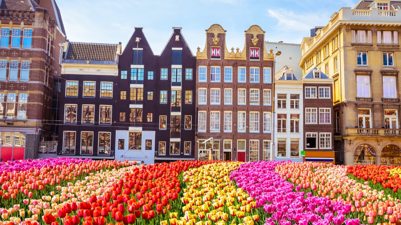 Spring in Bloom: How to Plan the Perfect Tulip Season Escape