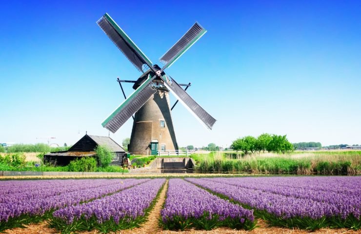 Windmills & Whispers: Uncovering the Soul of Kinderdijk Beyond the Icon