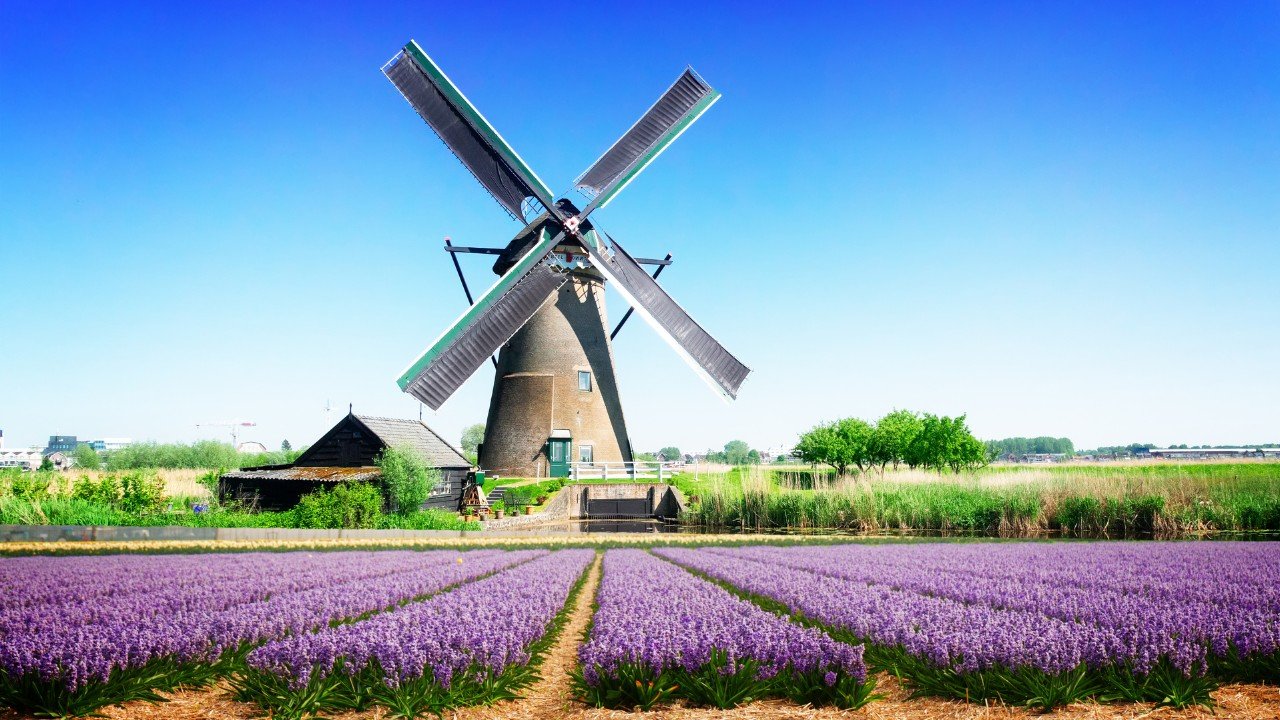 Windmills & Whispers: Uncovering the Soul of Kinderdijk Beyond the Icon