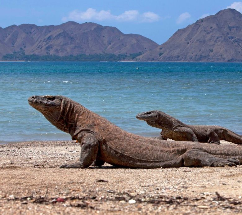 Labuan bajo