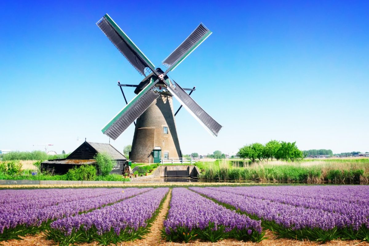 Netherlands Spring