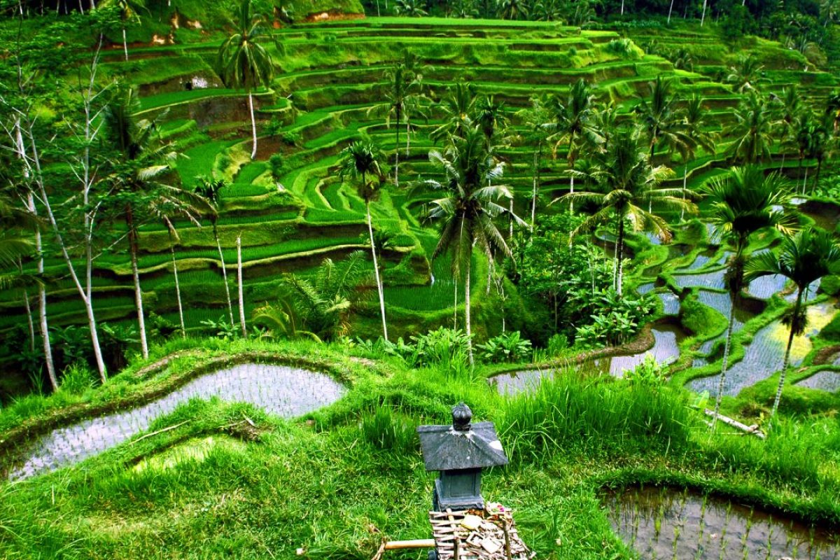 Ubud