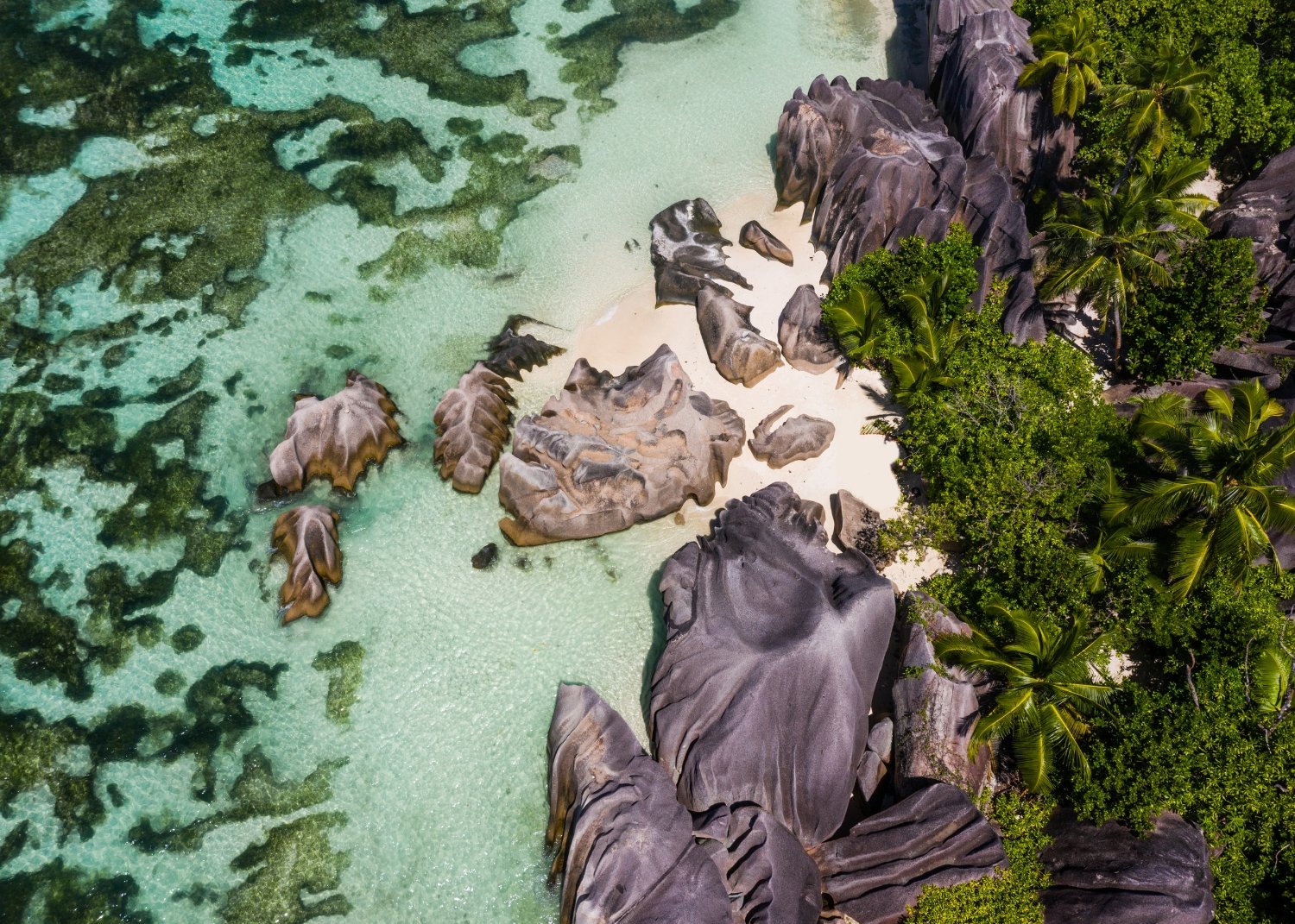Seychelles — The Island Dream Brought to Life