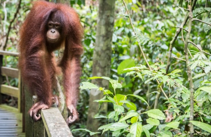 Why Malaysia is Southeast Asia’s Most Underrated Gem