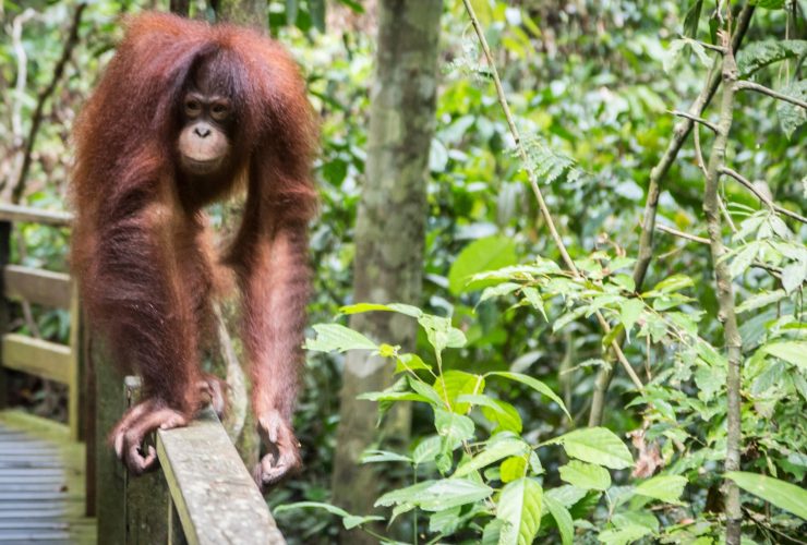 Why Malaysia is Southeast Asia’s Most Underrated Gem