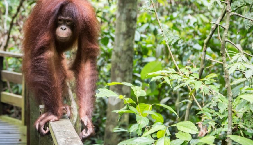 Why Malaysia is Southeast Asia’s Most Underrated Gem
