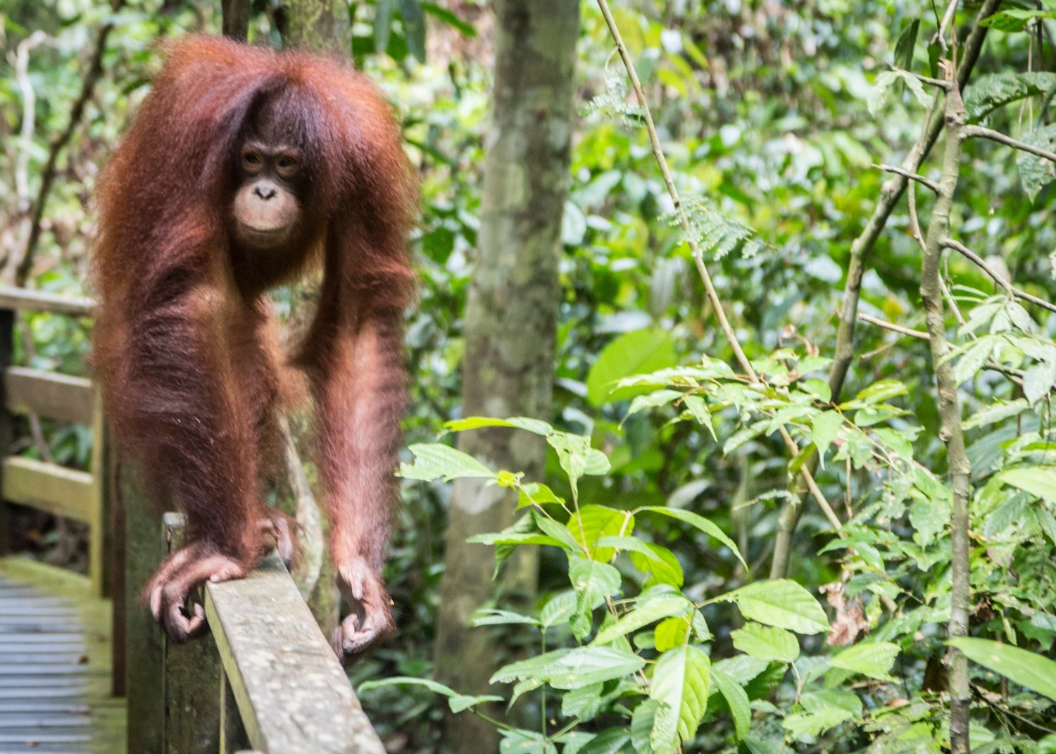 Why Malaysia is Southeast Asia’s Most Underrated Gem