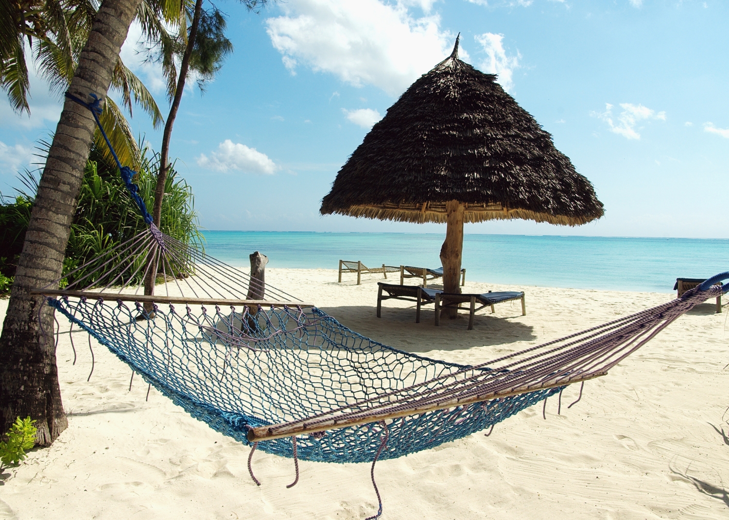 From Savannah to Sea: Planning the Perfect Tanzania Safari & Beach Combo
