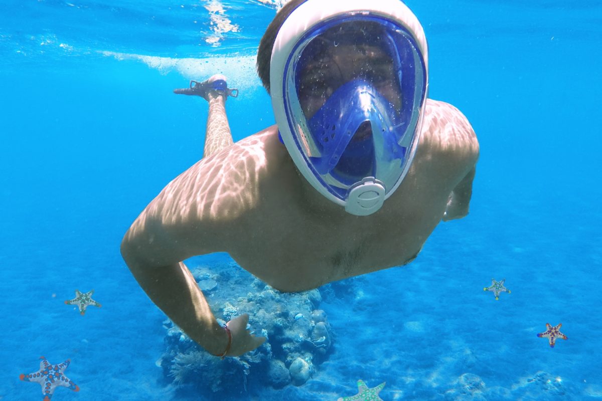 snorkel