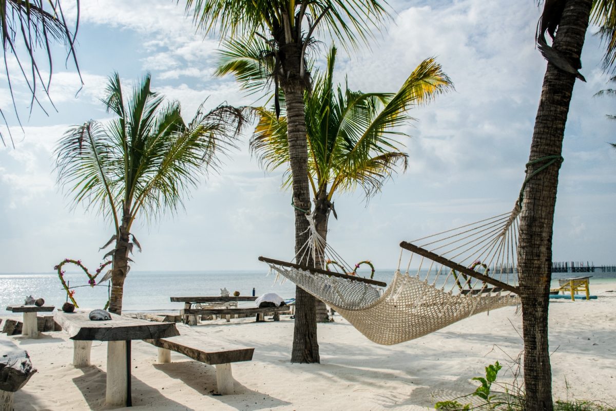 zanzibar
